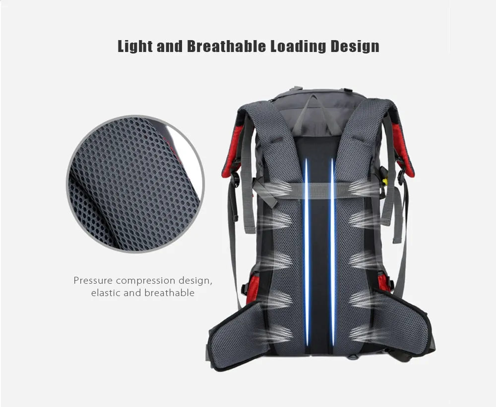TrekKING Camping Backpack with Rain Cover