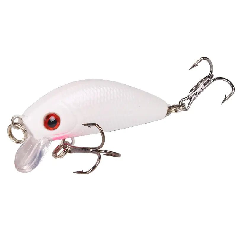 Minnow Fishing Lure 1 pc
